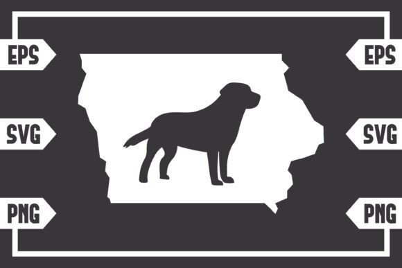 Iowa - Dog