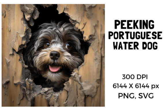 Peeking Portuguese Water Dog